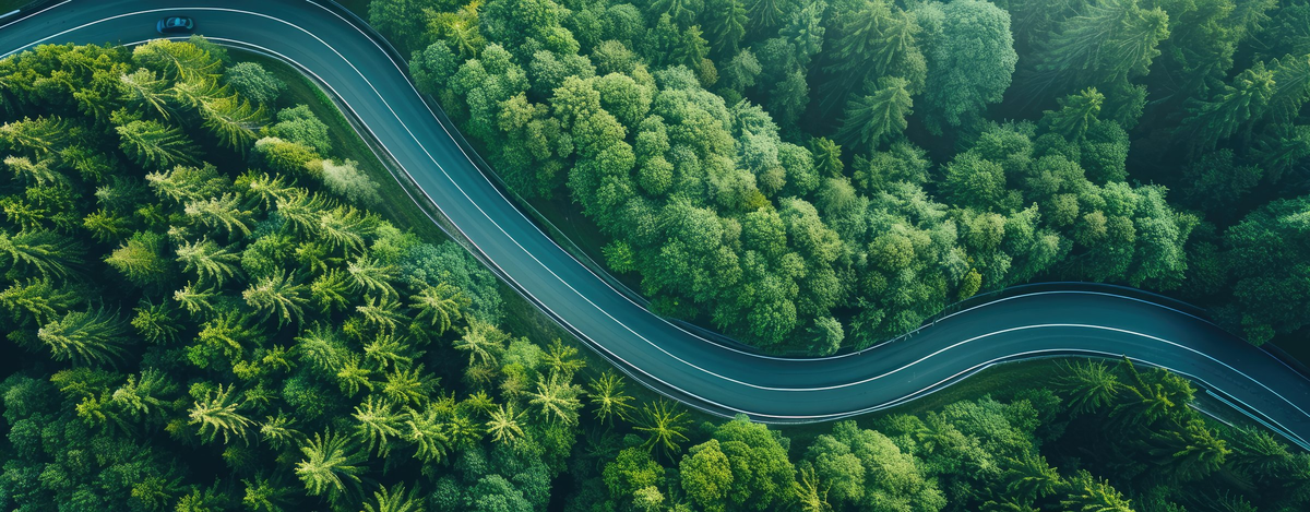 Chi siamo — Lucchini Rent Car